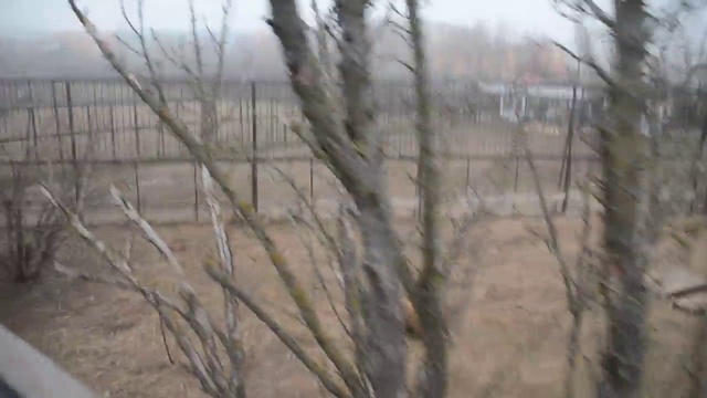 Лев Леон во всей красе ! смотреть онлайн