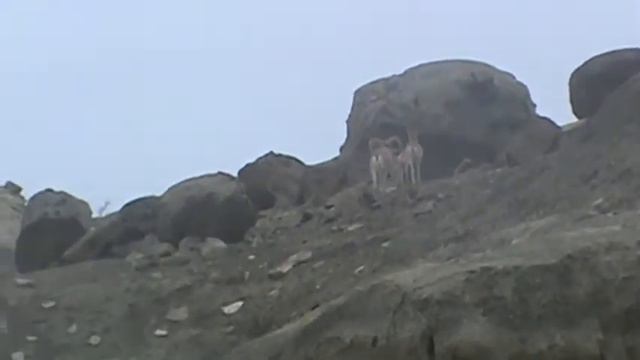 Модель планеты, шаровые конкреции, Тарасенко Геннадий, Бекет-Ата. смотреть онлайн