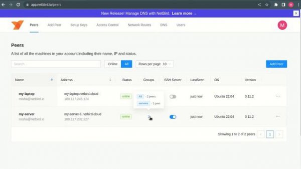 Manage DNS with NetBird