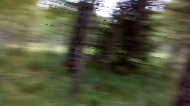 По лесу из Кенчурки в Нязепетровск смотреть онлайн