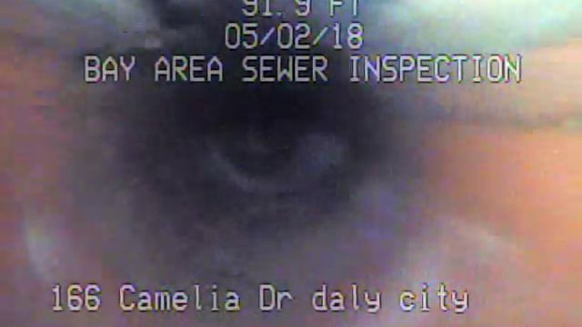 166 Camelia Dr Daly City смотреть онлайн