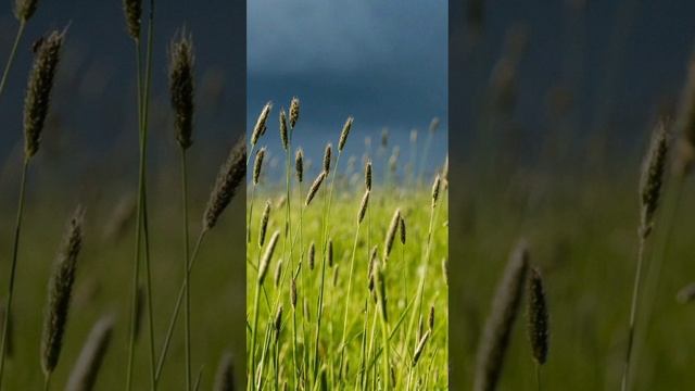 Чудеса существуют! смотреть онлайн