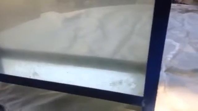 Кормушки 2 смотреть онлайн