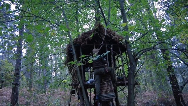 Building A Hut In The Wild Forest, Start To Finish | Tree House, Forest House, Log Cabin, Dugout