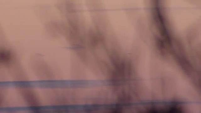 The UFO from Dusk till Dawn and from Visible to Invisible смотреть онлайн