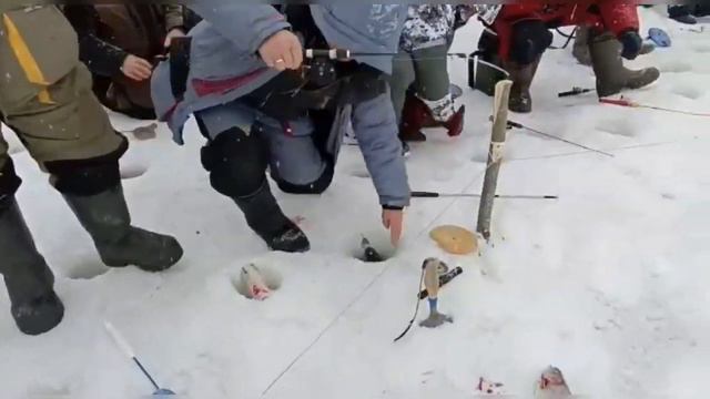 12 марта 2022 г. смотреть онлайн