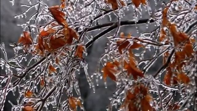 Предзимье Музыка и исполнение А Тюрина на стихи Лидии Адамовой смотреть онлайн