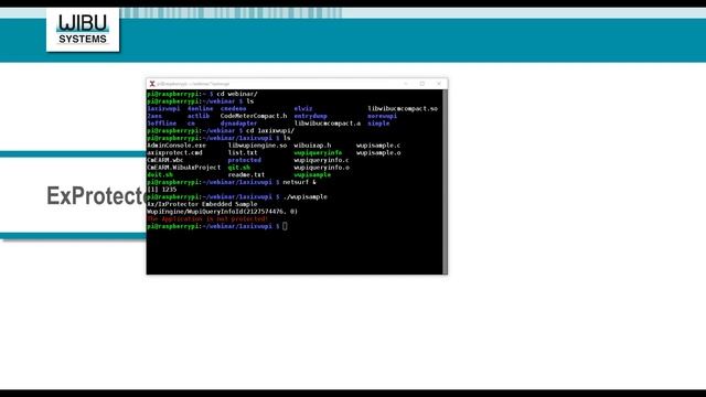 Dominating Industrie 4.0 with Secure Software Licensing смотреть онлайн