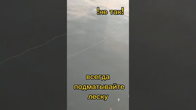 фидерная рыбалка. смотреть онлайн