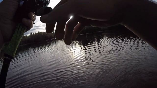 Senko vs Topwater Frog смотреть онлайн