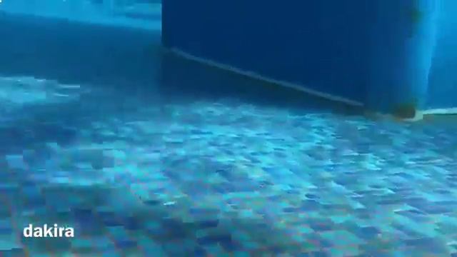 египет горящие путевки из киева смотреть онлайн