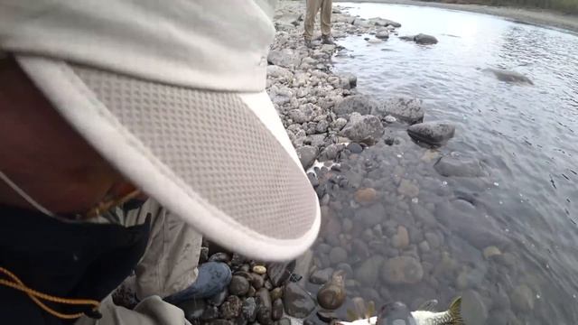 ШЕРП В ЯКУТИИ  3 д 2 ч. ЩУКА,ЛЕНОК.  РЫБАЛКА НА р НИМЕНГДЕ, СУП ИЗ УТКИ,,,