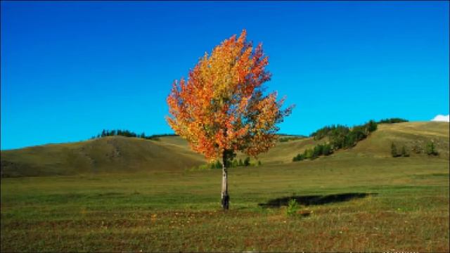 Регрессия. Времена Радомира. Один из тамплиеров. смотреть онлайн