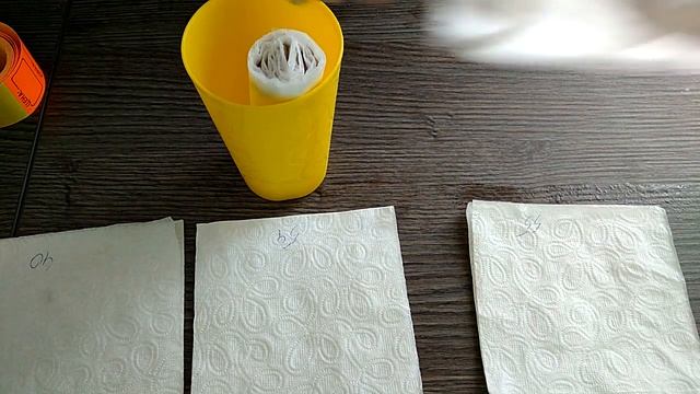 100% способ проращивания семян лагенарии. 100% method germination of seeds of lagenaria. смотреть онлайн