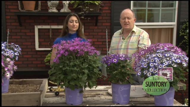 4- Consumers & Retailers - Chris Spanton -Senetti Pericallis .mov смотреть онлайн