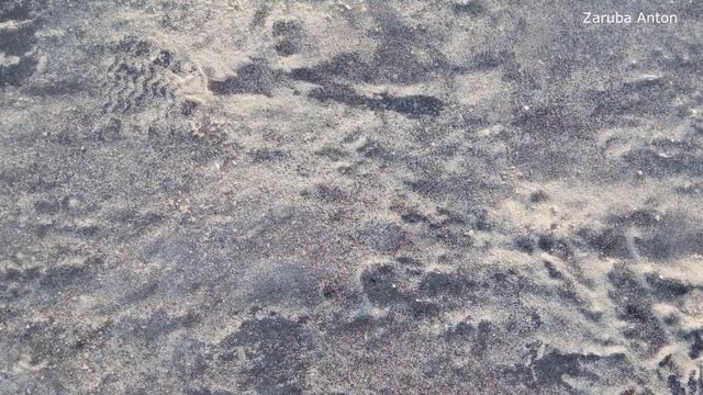 Лучшие фотографии за неделю #1