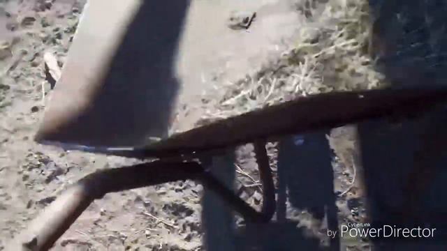 Весна на пороге//Куры на улице смотреть онлайн