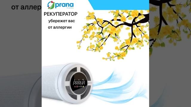 Вентиляция PRANA очищает воздух в помещении, убережет вас от аллергии. смотреть онлайн
