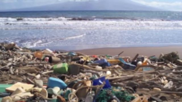 Trash Islands in the Ocean-Molly and Sophia смотреть онлайн