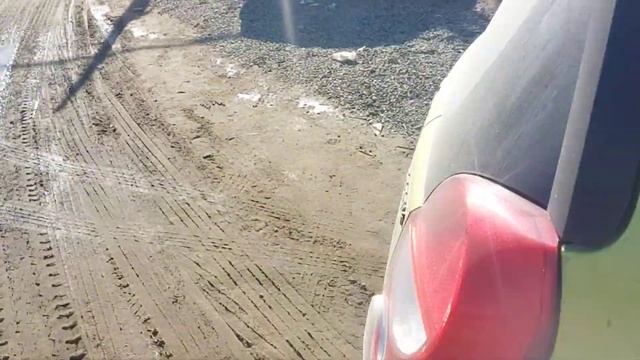 Кастрированные кобели, тоже вяжутся с замком, но потомства не будет??? смотреть онлайн