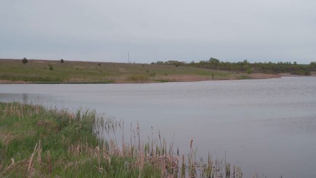 САМЫЙ ДЕШЕВЫЙ СПОД ОТ SPORTEX. Тест китайских спомбов на дальность. Розыгрыш