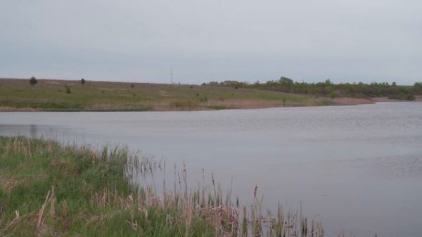 САМЫЙ ДЕШЕВЫЙ СПОД ОТ SPORTEX. Тест китайских спомбов на дальность. Розыгрыш