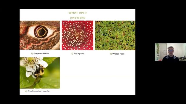 Wildlife Quiz with Discover the Wild смотреть онлайн