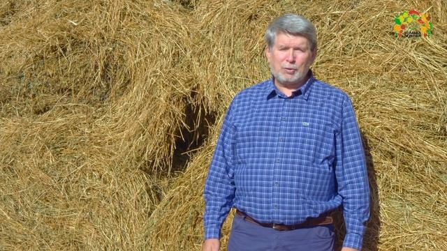 Усадьба Девичья. Город Алексин. Фермерское хозяйство. смотреть онлайн