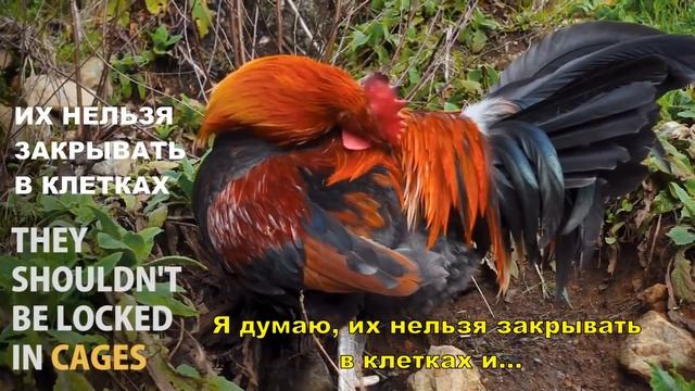 Что видят дети смотреть онлайн