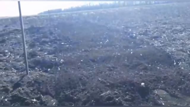 Всё обо всём,капуста на полях,цены на дрова и кирпич, жизнь на юге, #переезд #пмж, #переезднаюг смотреть онлайн