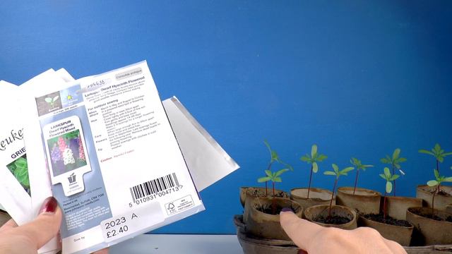 Plantjes Zaaien Voor Het Komend Jaar: Vreekens Zaden Webshop