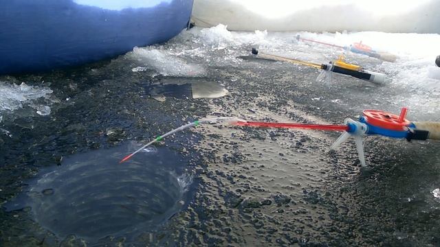 Верхнемакаровское,рыбалка 08.12.2018