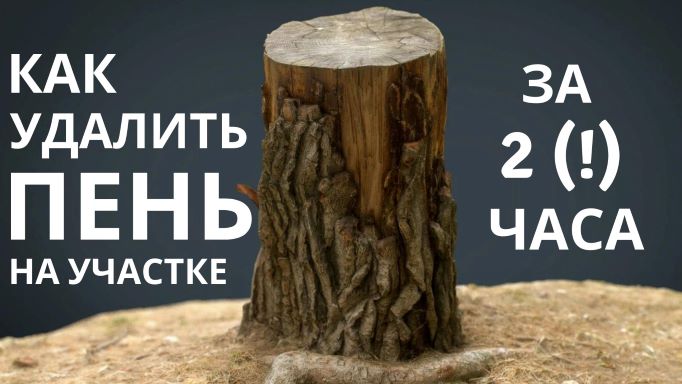 Как удалить пень на своём участке за 2 часа