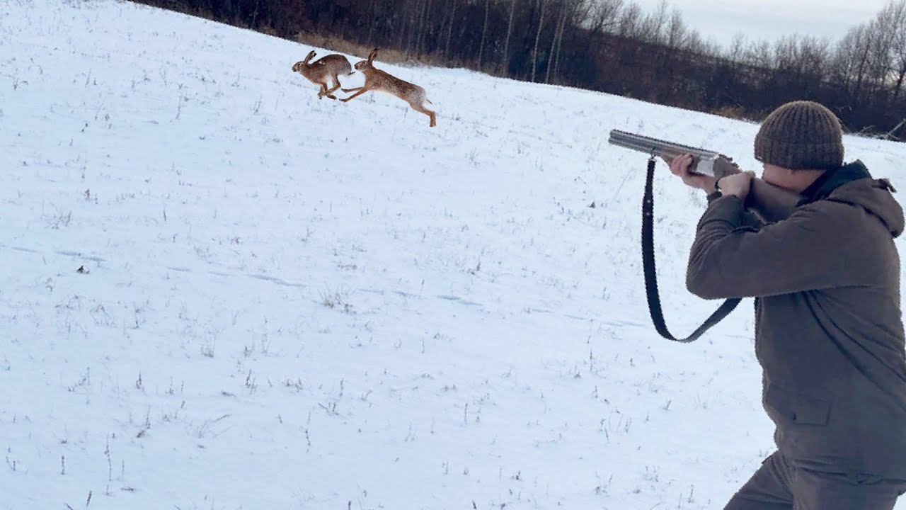 Заяц лежал до последнего!!! Крутой подъём!!! Охота 2023. смотреть онлайн