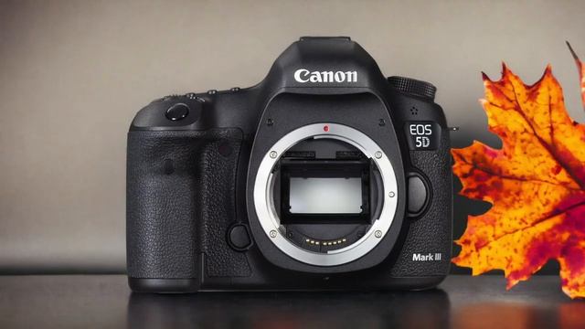Canon 5D Mark II vs Canon 7D: Which Camera Is Better? (With Ratings & Sample Footage) смотреть онлайн