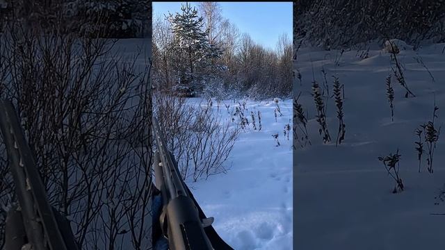 Чётко взял! Два выстрела-два тетерева! смотреть онлайн