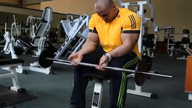 Сгибание запястий сидя со штангой смотреть онлайн