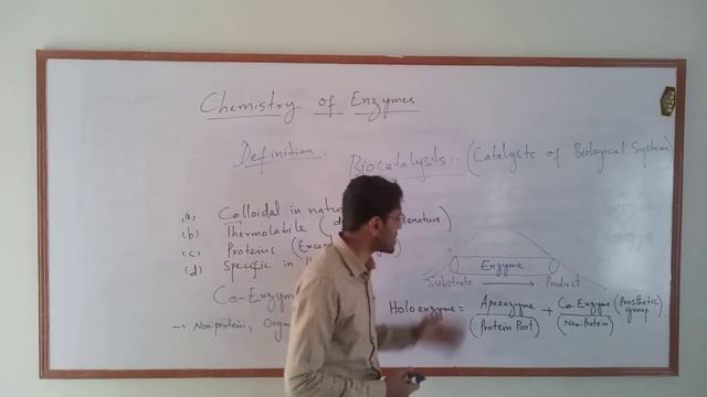 Chemistry of enzymes смотреть онлайн