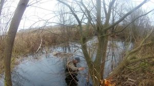 Охота на бобров живо ловушками и самоловами часть 1