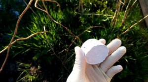 Акриловый гипс своими руками