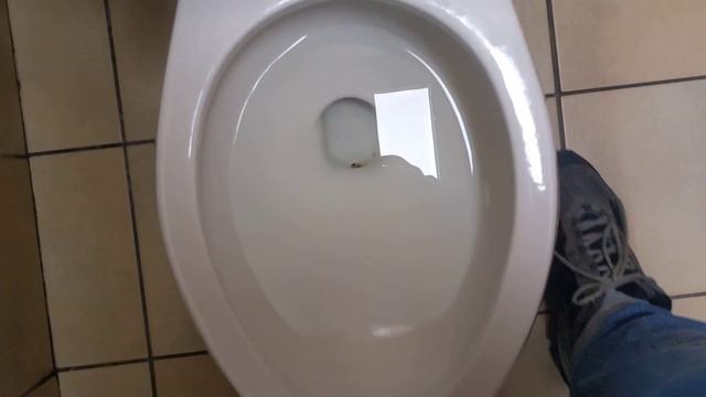 Revisit of the 1991 FIAT/crane plumbing Radcliffe toilet смотреть онлайн