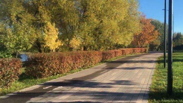 БОЛЬШОЕ СПАСИБО ВСЕМ ПАССАЖИРАМ В ПОЕЗДЕ МОЕЙ ЖИЗНИ! ПОСВЯЩАЮ ВСЕМ, КТО ДОРОГ МНЕ! смотреть онлайн