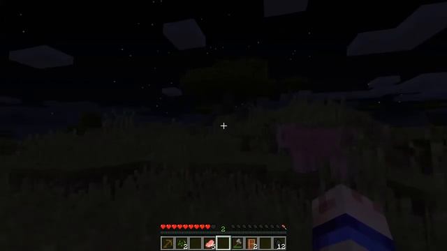 Minecraft Test смотреть онлайн