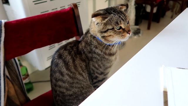 3 ДНЯ ЧТЕНИЯ МАРАФОН смотреть онлайн