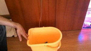 Как правильно пересадить приобретённую рыбку в аквариум.