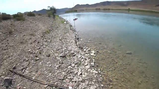 Рыбалка на поплавок на спиннинг на озере #рыбалка#fishing# смотреть онлайн