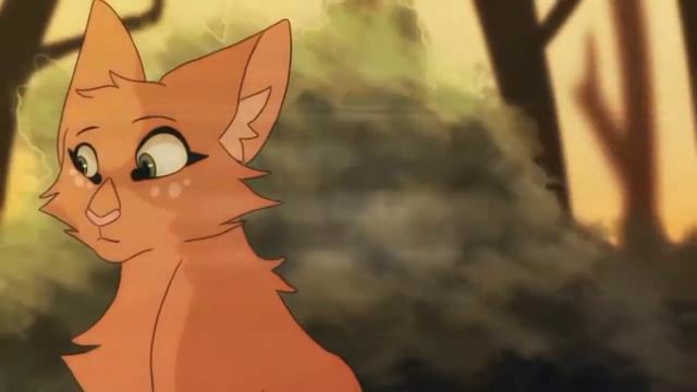 //Клип//Коты воители//Дора дура//Белка и Уголёк// смотреть онлайн