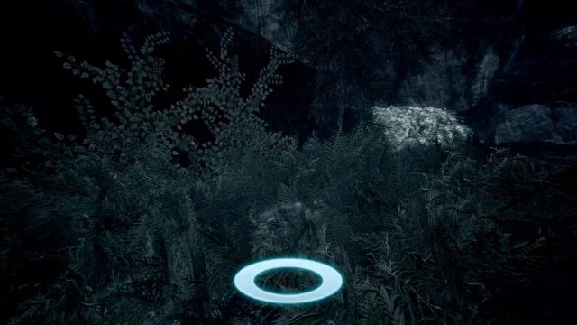 [Assassin's Creed Rogue Remastered] Honour and Loyalty смотреть онлайн