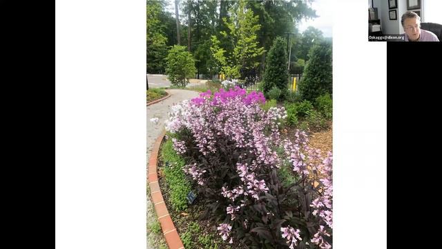 Munch and Learn: Coming Plant Attractions at the Dixon Garden Fair смотреть онлайн