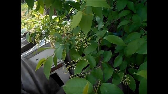 Гаджеты и Технологии